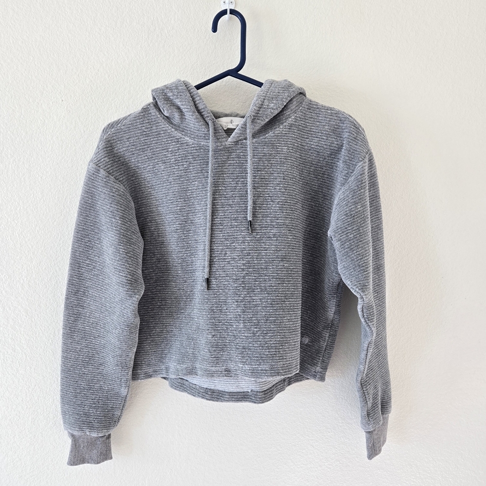 Tavi Noir Semi Cropped Hoodie Womens XS Gray Ribbed Velvet Lounge Athleisure - Picture 3 of 16